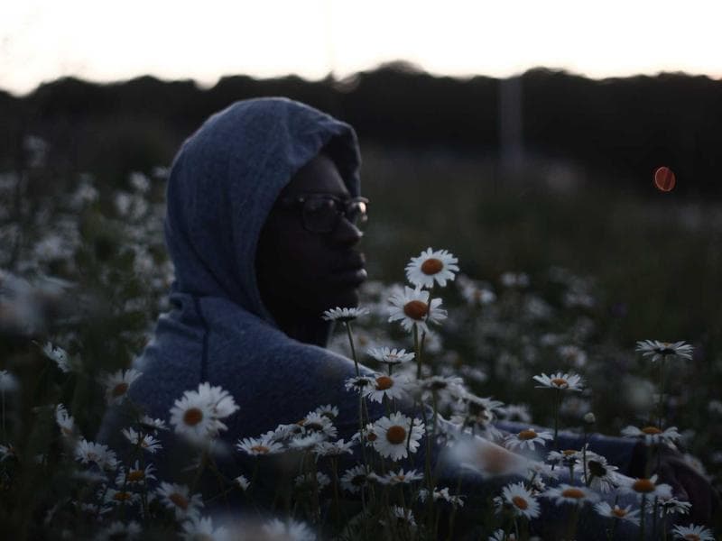 Silvu Inspection Master